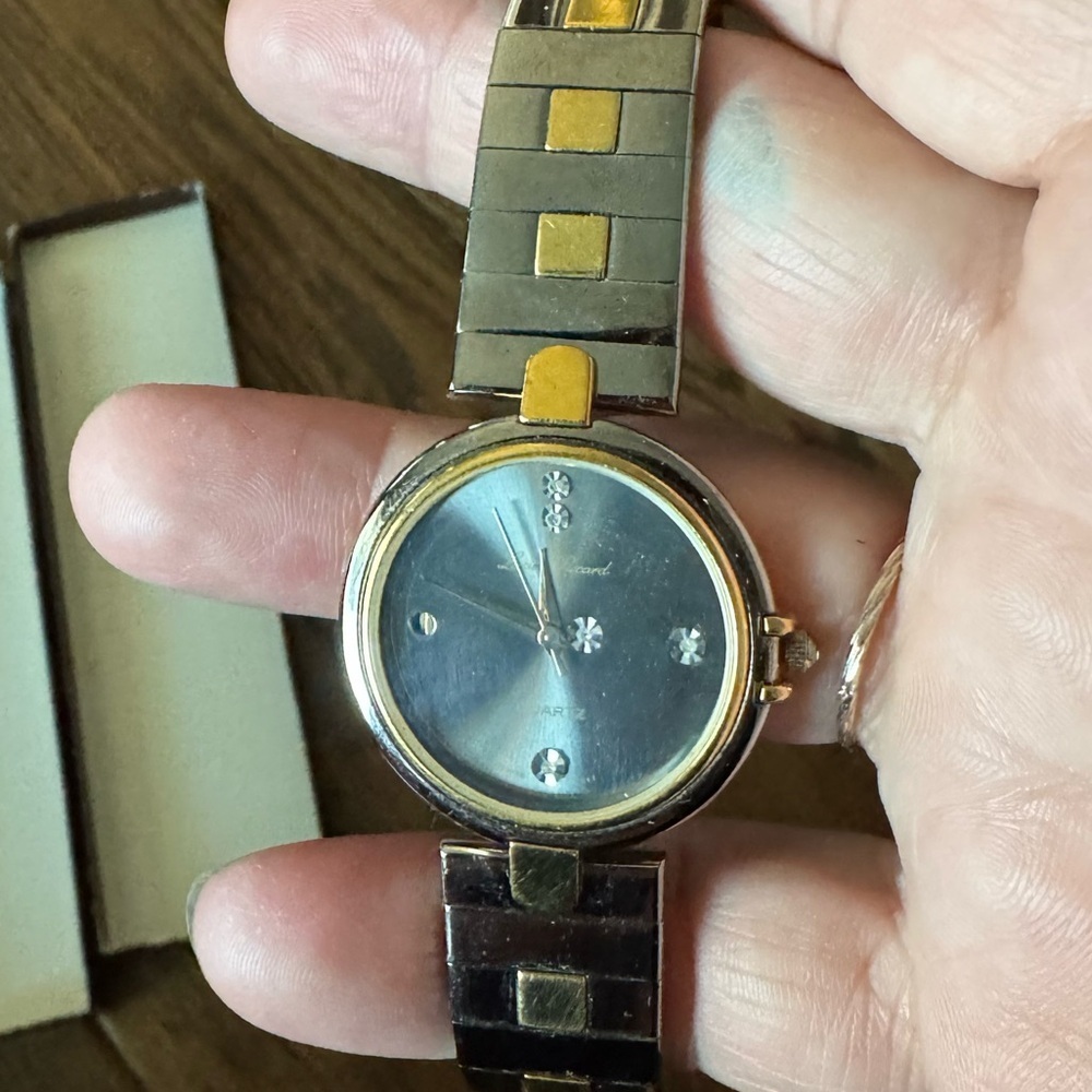 VTG LUCIEN PICCARd  Men’s Watch